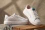 برند پوما (PUMA)؛ تاریخچه، فناوری‌ها، سری محصولات و هر آنچه باید درباره این برند آلمانی بدانید